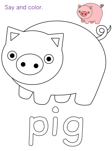 pig