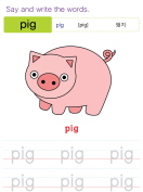 pig