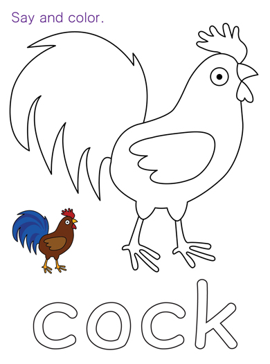 cock