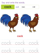 cock