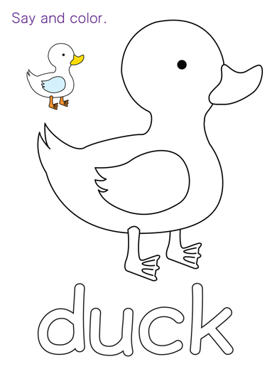 duck