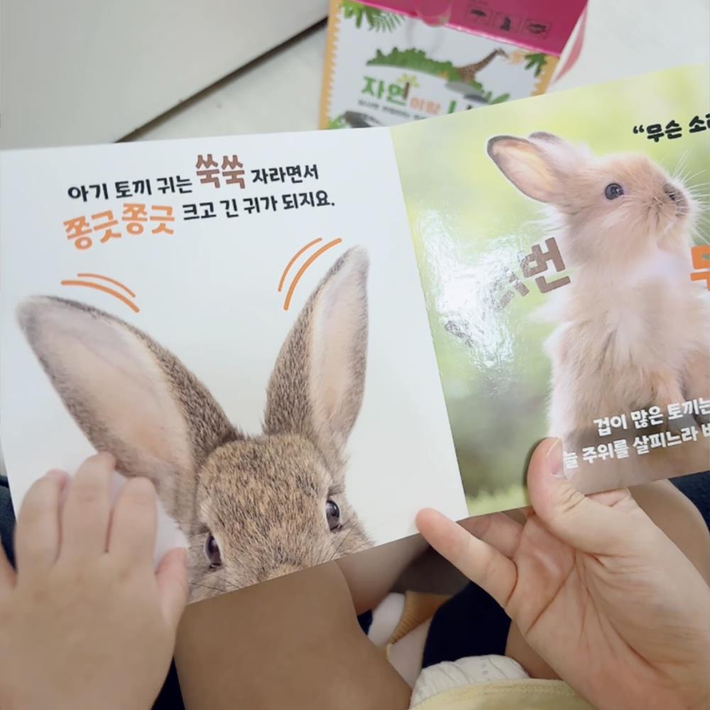 후기 사진
